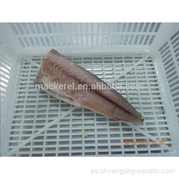 Filete de caballa de mariscos congelados chinos con estándar de la UE